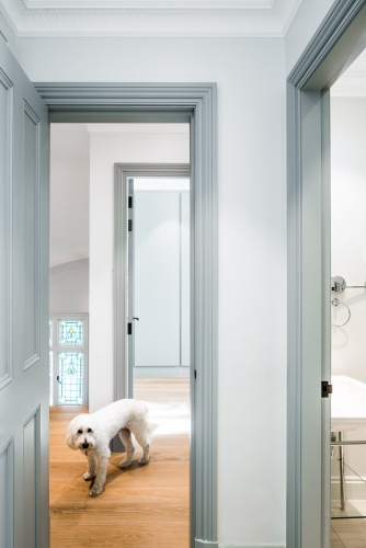 First floor Hallway with dog Zuhausesdesign, Abbey Road